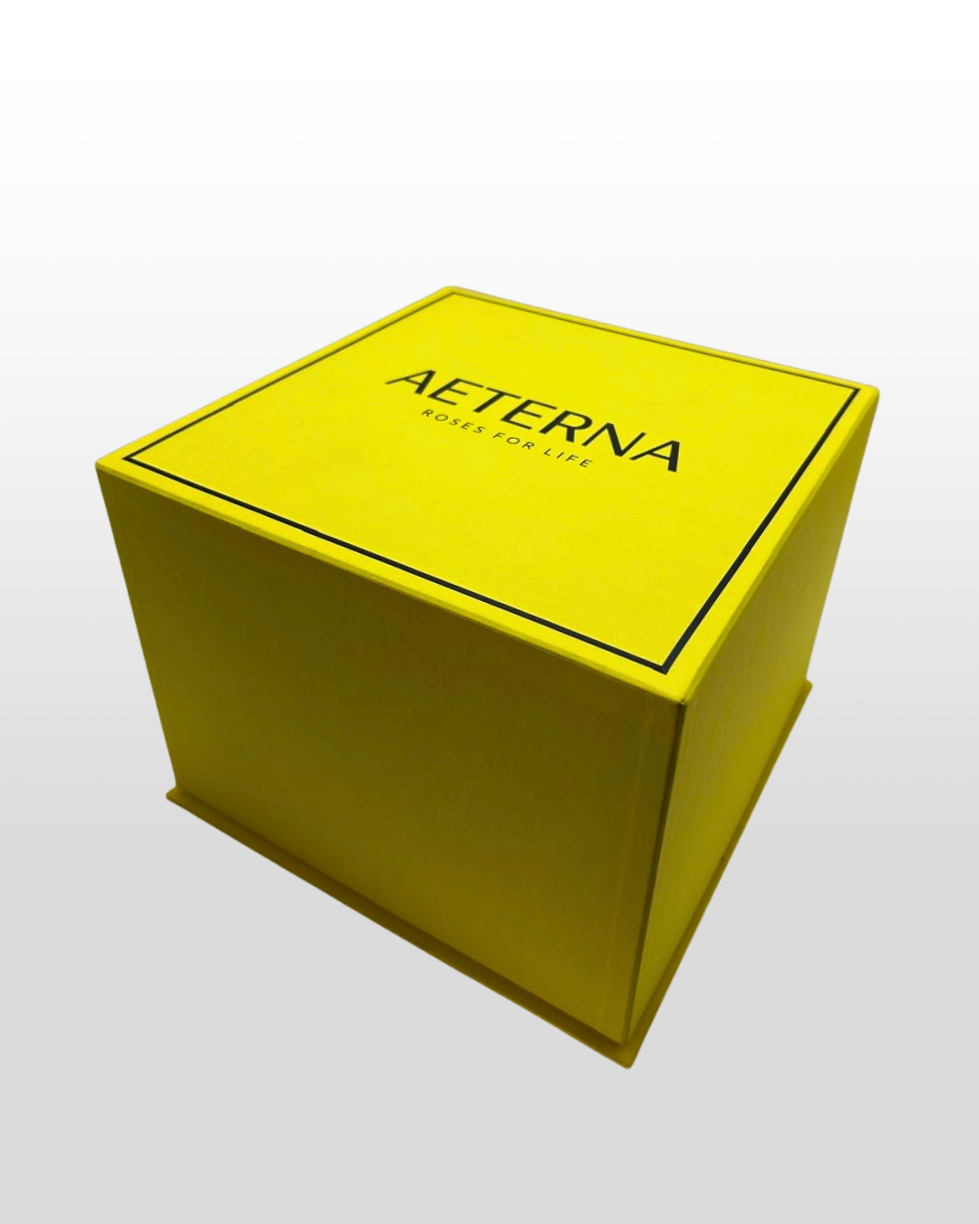 Aeterna Box Yellow