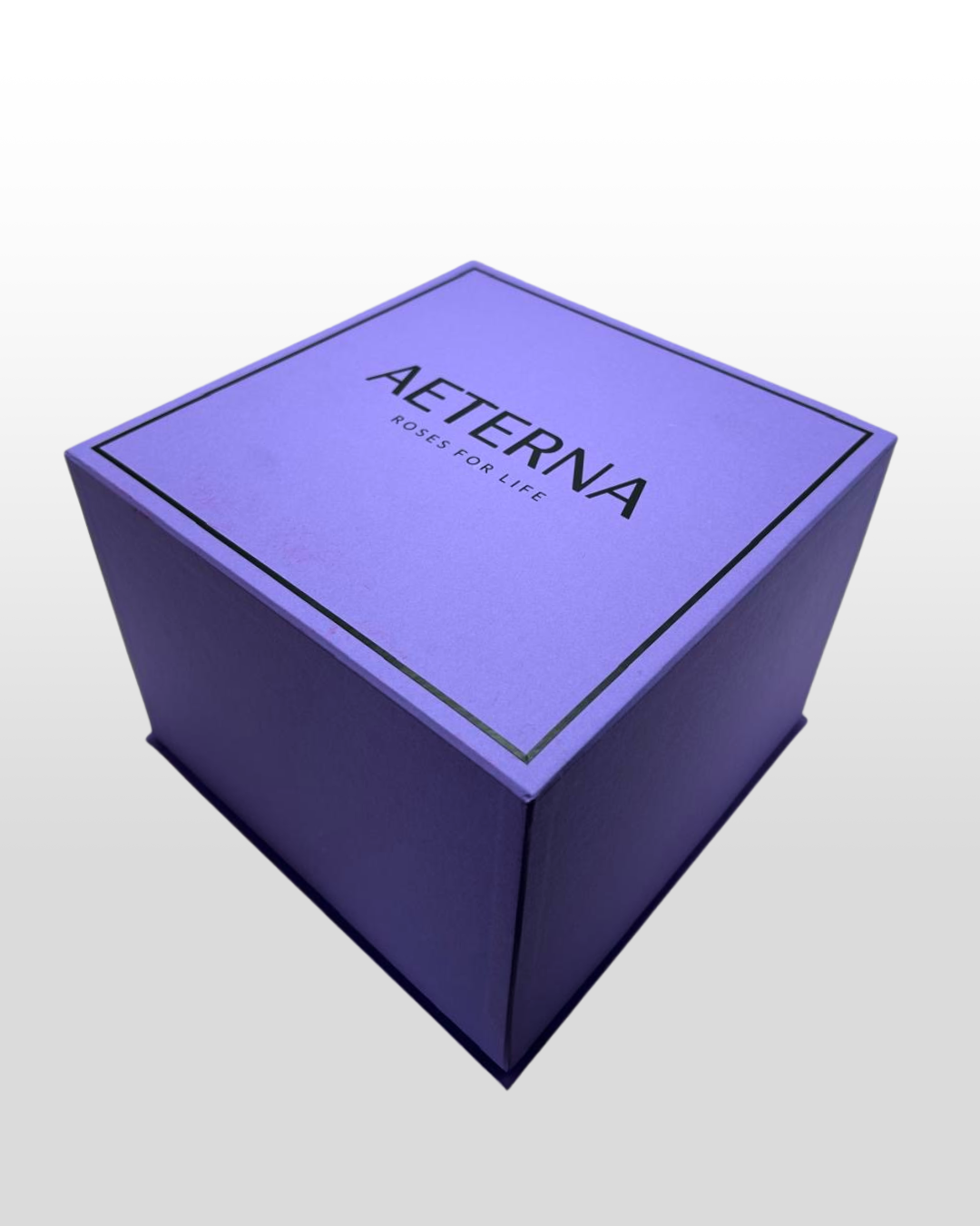 Aeterna Box Purple