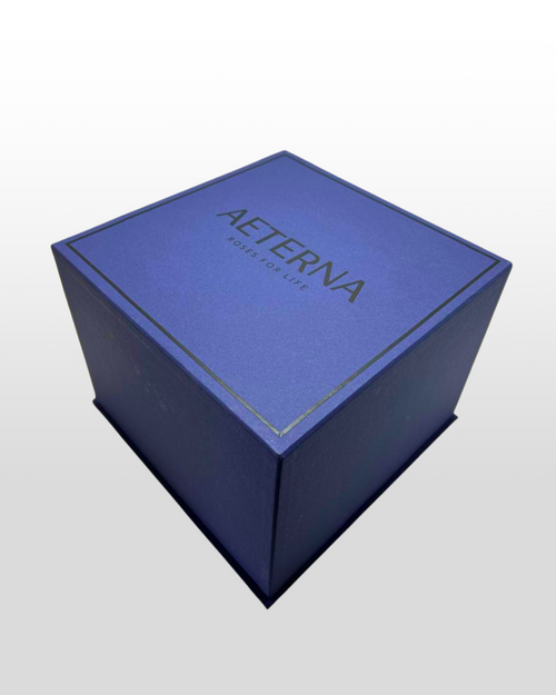 Aeterna Box Blue