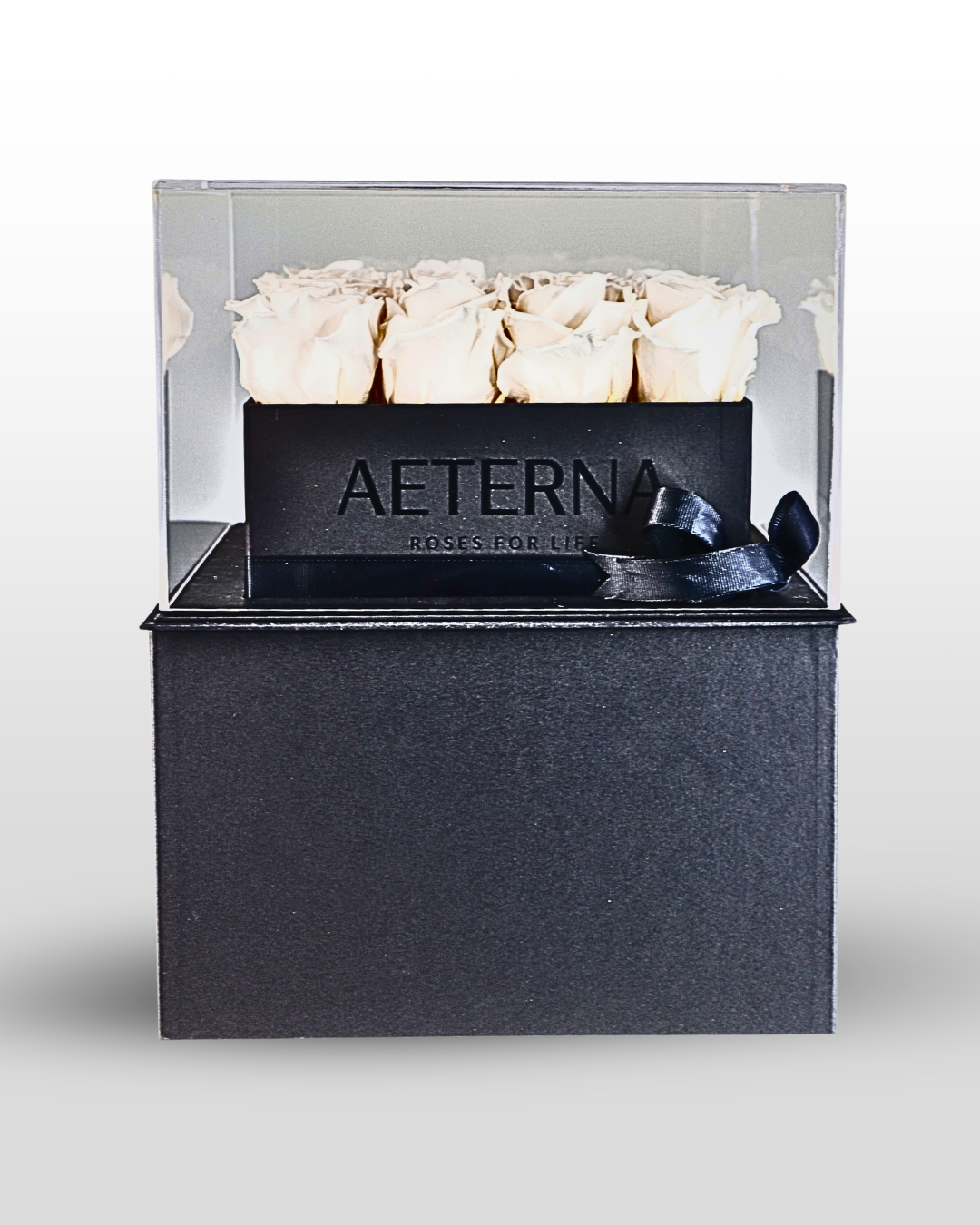 Aeterna Box G