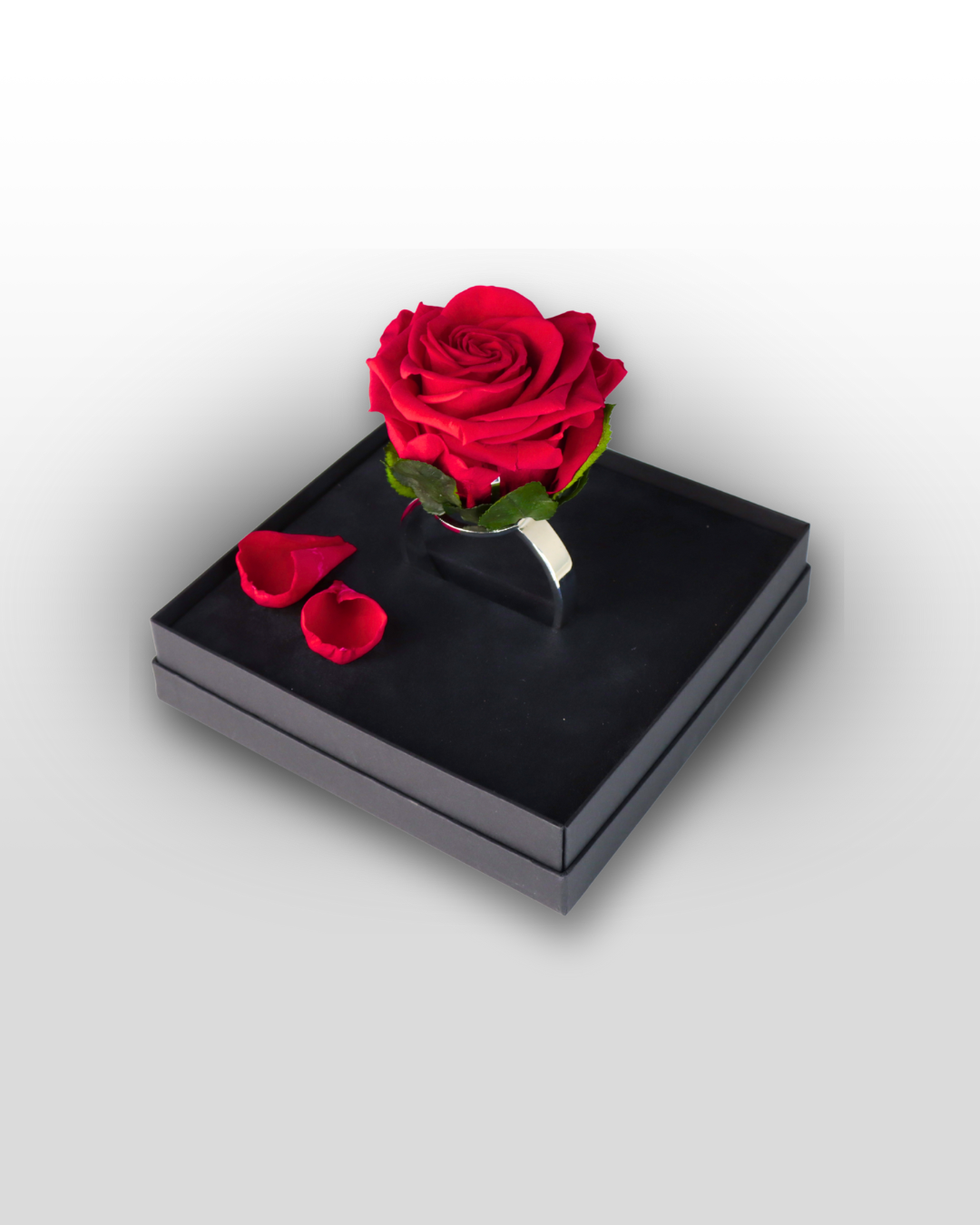 The Ring Box