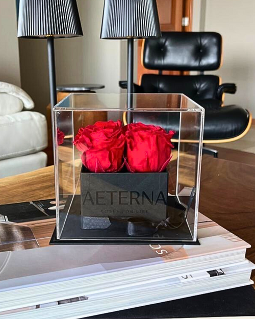 Aeterna Box CH